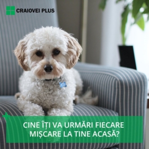 Craiovei Plus